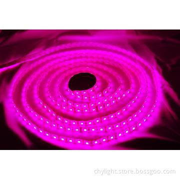 LED Ribbon Tapes 5050 Flexible Waterproof RGB